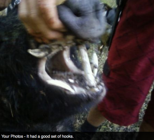 Screen Shot 2013-10-02 at 1.40.33 PM